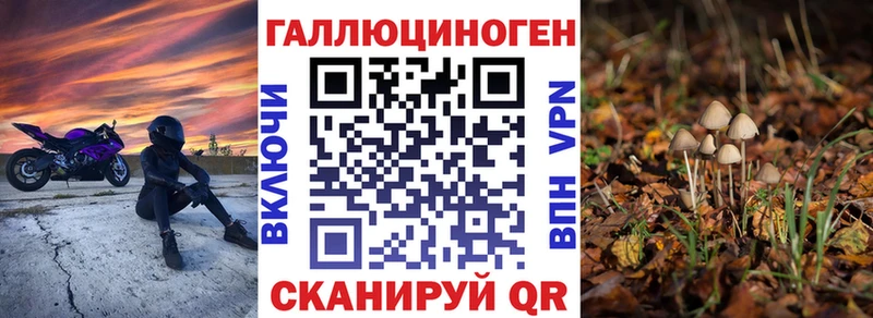 Галлюциногенные грибы MAGIC MUSHROOMS Ковдор